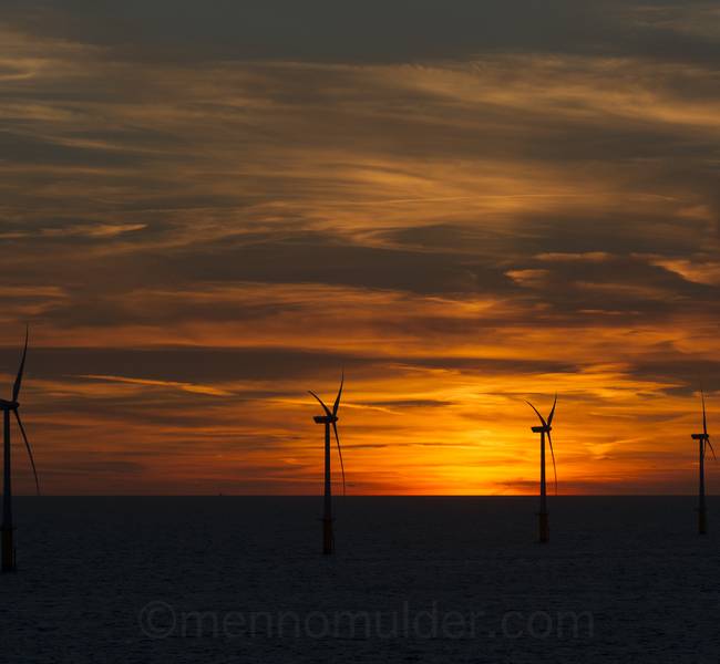 Offshore Wind Farm in Sunset